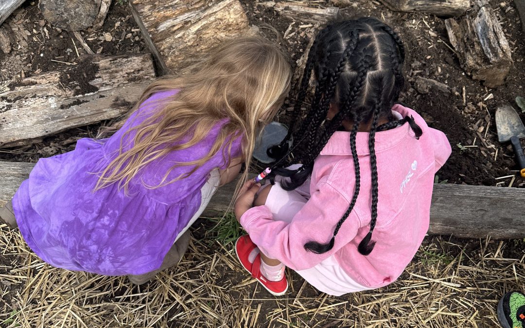 Bug Hunt